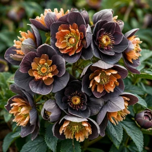 Морозник Блум Айс купить по цене от 499р. в интернет-магазине «Посадика» с доставкой почтой в в Лукоянове и по всей России – [изображение №1].